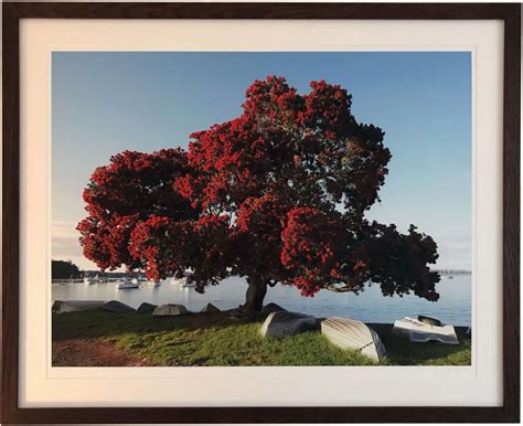 New Zealand Christmas Tree - inspirationsframing.co.uk