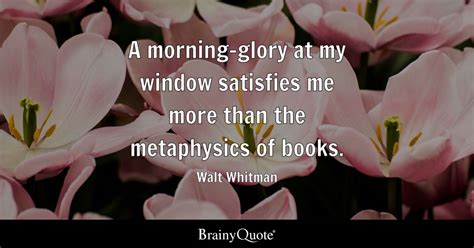 A morning-glory at my window satisfies me more than the metaphysics of books. - Walt Whitman ...