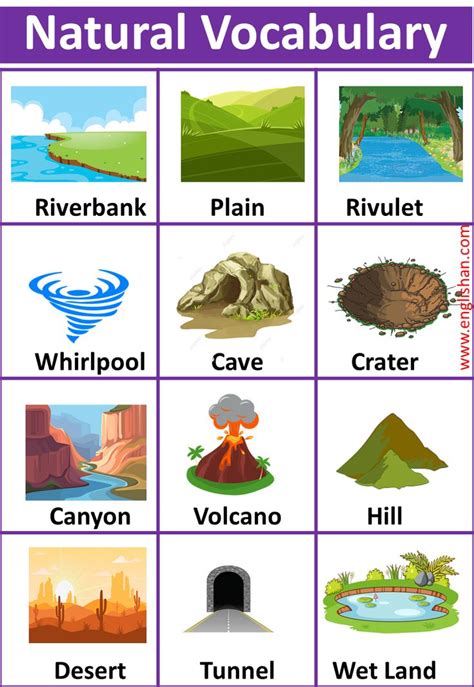 Nature Related Words List | English vocabulary, Vocabulary, Vocabulary ...