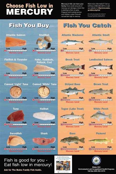 Fish Mercury Level Chart