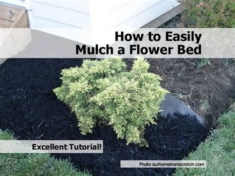 How to Easily Mulch a Flower Bed