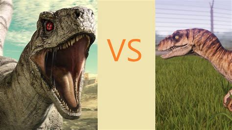 Velociraptor vs Atrociraptor - YouTube