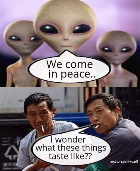 50 Hilarious Alien Memes That Will Make You Laugh - vrogue.co