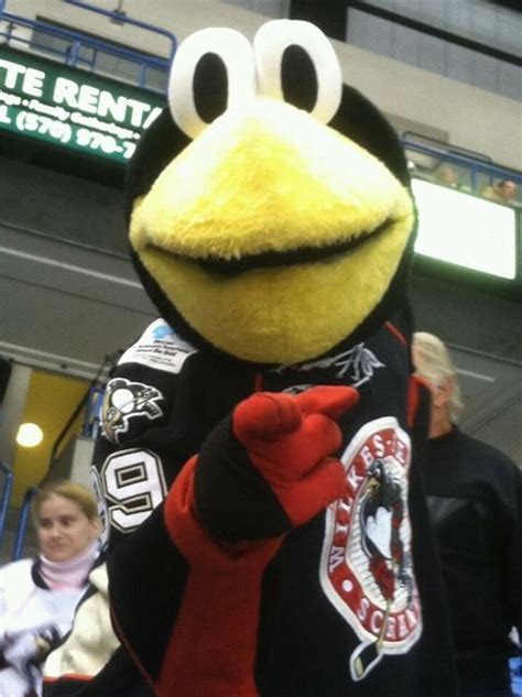 Wilkes Barre Scranton Penguins Mascot Tux | Hockey logos, Penguins ...