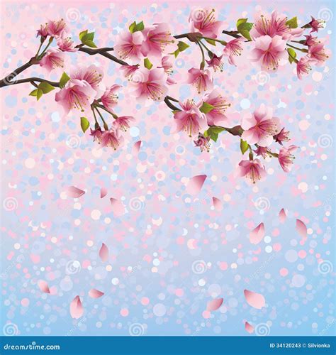 217 Background Japanese Sakura For FREE - MyWeb