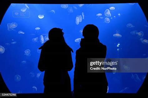 23 Tokyo Skytree Aquarium Stock Photos, High-Res Pictures, and Images ...