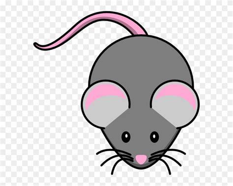 Cute Mouse – Telegraph