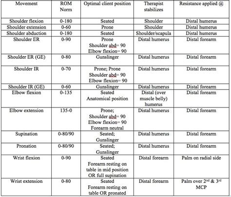 Lower Extremity Manual Muscle Test Chart