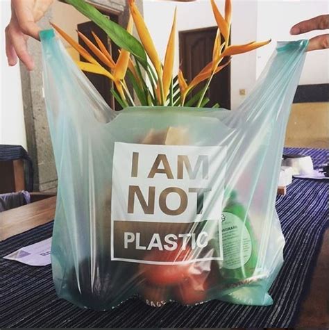 This plastic bag is 100% biodegradable | World Economic Forum