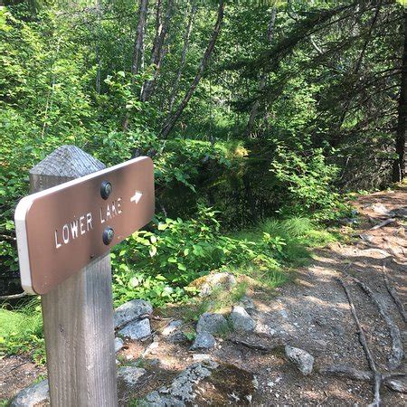 Lower Dewey Lake Hiking Trail (Skagway) - All You Need to Know BEFORE ...