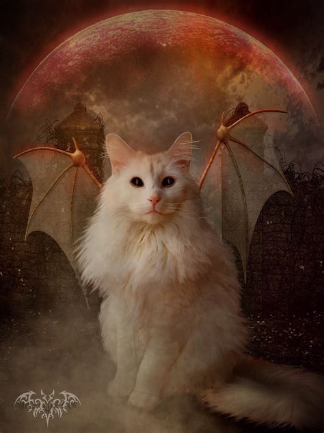 Demon Cat by SPRSPRsDigitalArt on DeviantArt