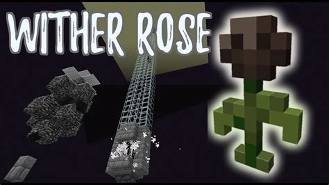 What is a Wither Rose in Minecraft? How to create Black Dye? | Gamerz Gateway