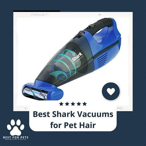 15 Best Shark Vacuums for Pet Hair in 2023