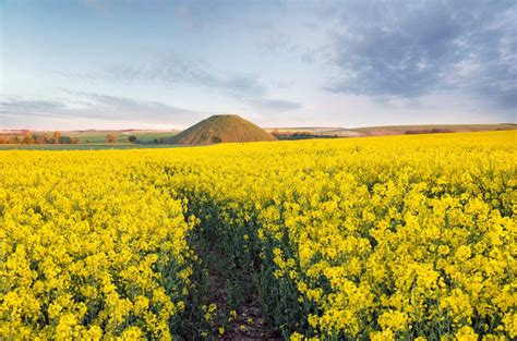 Avebury Travel Guide: The Ultimate Guide to Avebury Stone Circle