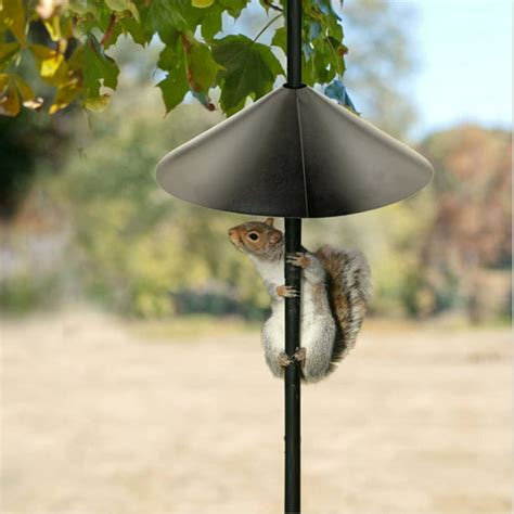 CreativeArrowy Baffle Squirrel Baffle To Protect Hanging Bird Feeder ...