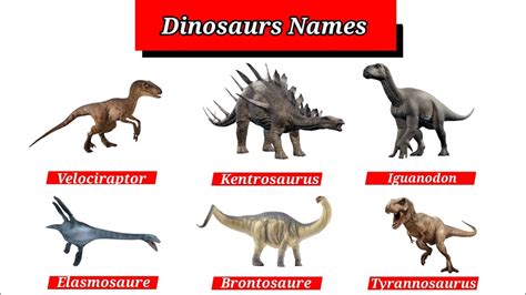 Learn Names Of Dinosaurs | Dinosaurs Names In English | Jurassic World | english vocabulary # ...