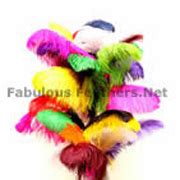 Ostrich Feathers | Centerpieces | Ostrich Plumes