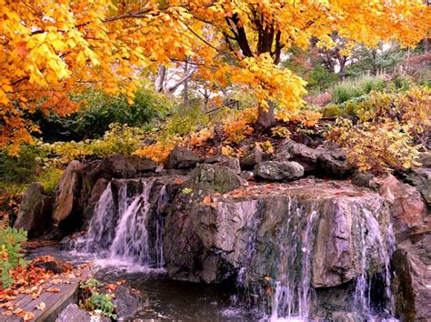 Fall 2009, Chicago Botanic Garden | Photography by Dan Defensor | Pin…