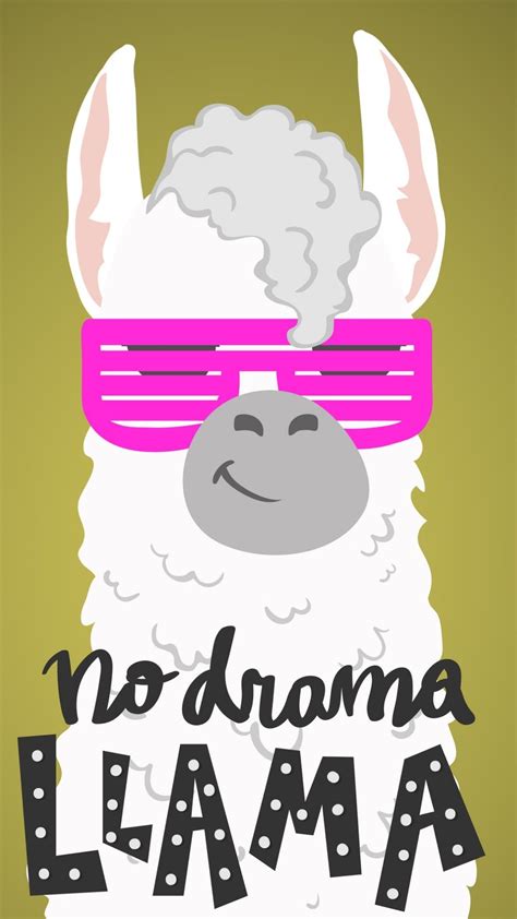 No drama llama wallpaper | Llama drama, Cute wallpapers, Llama