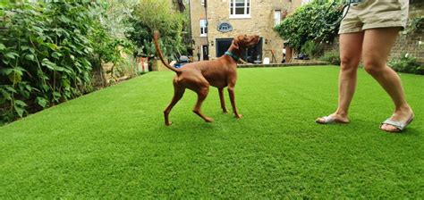 Artificial Grass for Dogs & Pets | Easigrass™