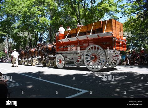 Bristol, RI parade Stock Photo - Alamy