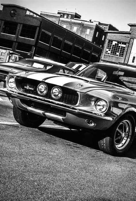 Mustang 1967 Shelby Gt500, Ford Shelby, Mustang Fastback, Mustang Cars, Ford Mustangs, Best ...