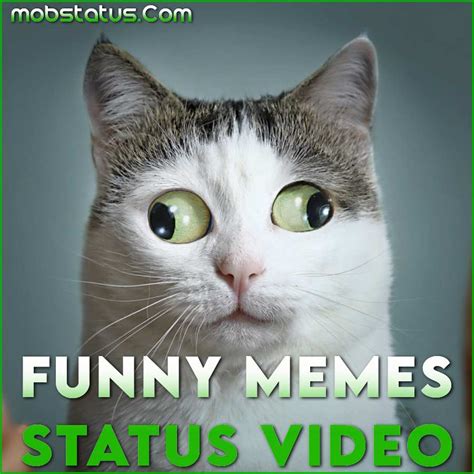 Funny Memes Status Video For WhatsApp Download, Full Screen