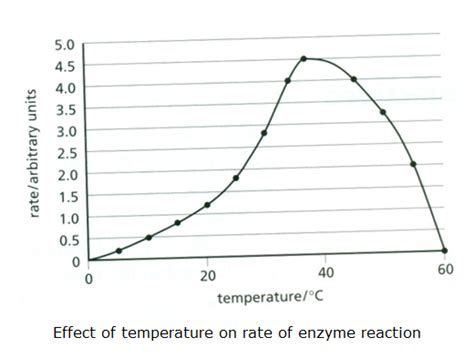 Enzymes and reactions - Biology Notes for IGCSE 2014