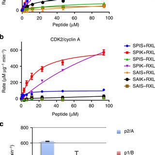 The structure of a CDK1–cyclin B-Cks2-ATP-competitive inhibitor ...