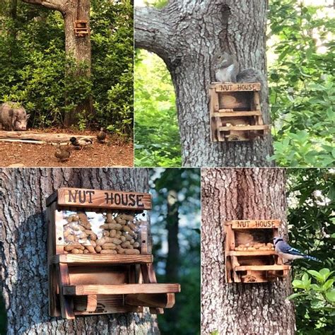 The Original Squirrel Nut House Feeder - Etsy in 2023 | Nut house ...