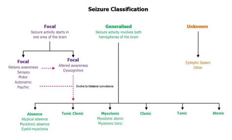 Seizure Types | Emergency Care Institute