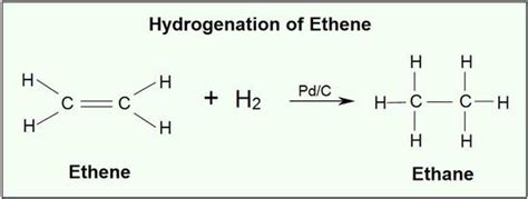 Catalytic Hydrogenation of Alkenes - Chemistry LibreTexts