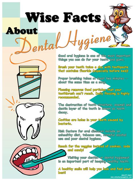 SNS Wise Facts About Dental Hygiene Poster-10624