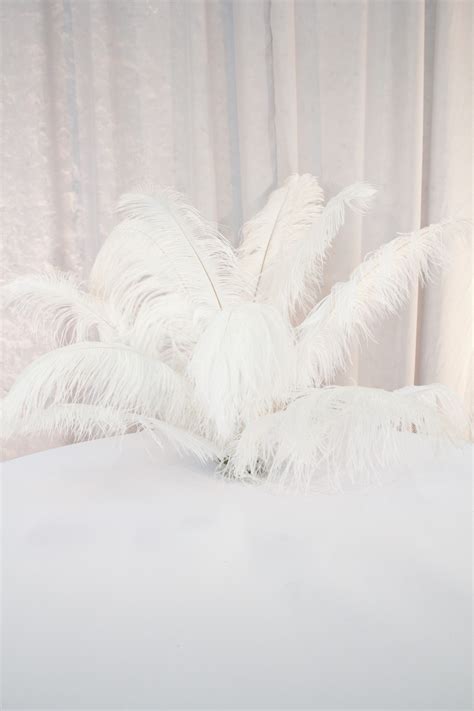 1 Dozen White Ostrich Feathers – All Occasions Rentals