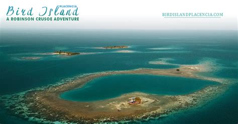 Contact Us | Placencia | Bird Island