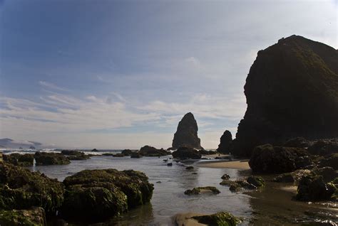 Haystack Rock Tide Pools | Tolman Bryant | Flickr