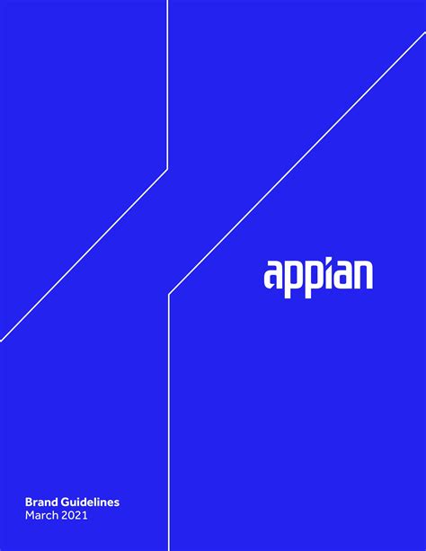 Appian | PDF document | Branding Style Guides