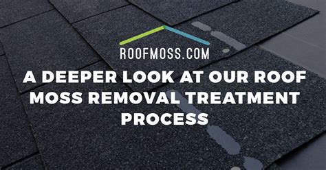 Roof Moss Removal Seattle: A Look At Our Treatment Process | RoofMoss.com