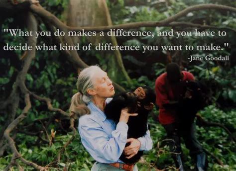 Jane Goodall Quotes That Will Inspire You