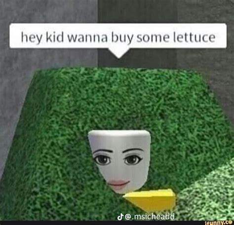 Lettuce | Very funny pictures, Roblox funny, Crazy funny pictures