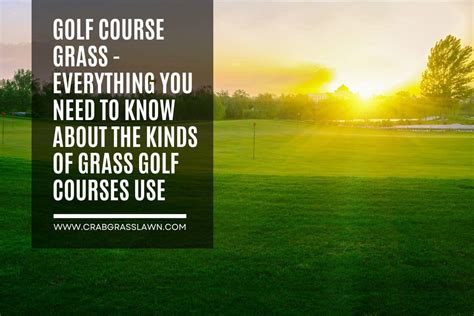 Golf Course Grass - 5 Types Of Grasses Used on Golf Courses (2024) | CrabgrassLawn