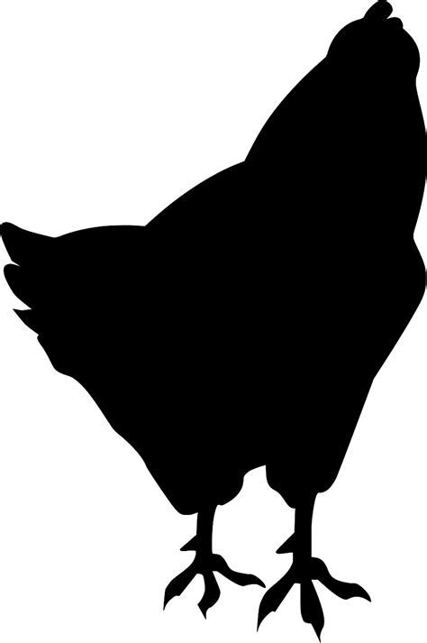 SVG > animal bird hen poultry - Free SVG Image & Icon. | SVG Silh