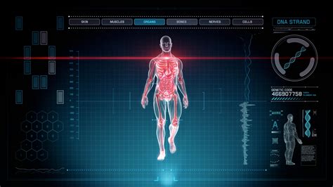 Futuristic Interface Display of Full Body Scan with Human Anatomy of ...