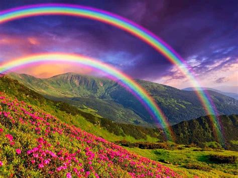 [700+] Rainbow Pictures | Wallpapers.com