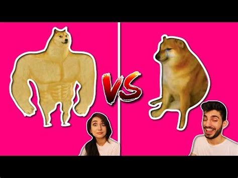 BUFF DOGE VS. CRYING CHEEMS MEME COMPILATION | Swole Doge vs. Cheems ...