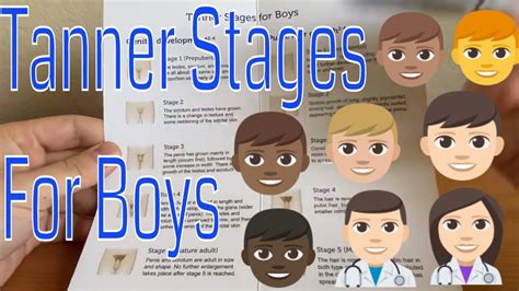 The Tanner stages (Boy) - YouTube