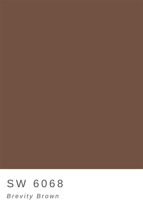 Brevity Brown | Chocolate brown paint, Chocolate brown colour, Brown ...