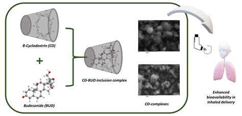 Applied Sciences | Free Full-Text | β-Cyclodextrin Inclusion Complexes of Budesonide with ...