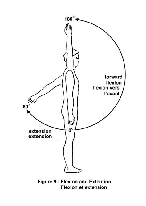 Shoulderstand, or Just Because A Teacher Suggests A Pose Doesn't Mean ...