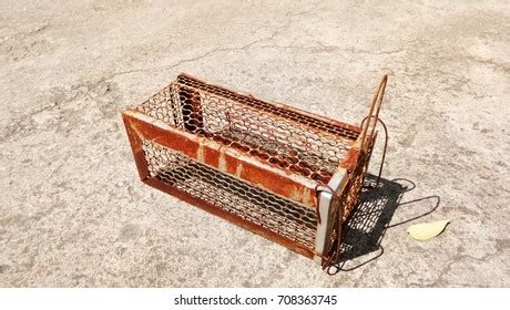 Mice Trap Home Stock Photo 708363745 | Shutterstock